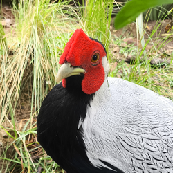 Animales del Parque Ecológico El Rincón